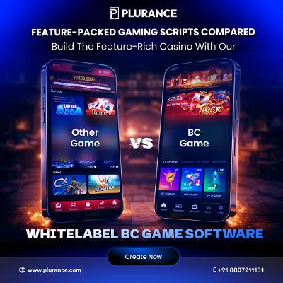 Crypto Casino Development Service with BC Game Clone Software